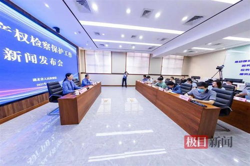 湖北通報知識產權檢察保護典型案例 侵權影片2200余部，8人因從事廣告業務獲刑